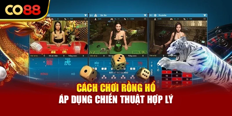 Cách chơi Rồng Hổ - Áp dụng chiến thuật hợp lý