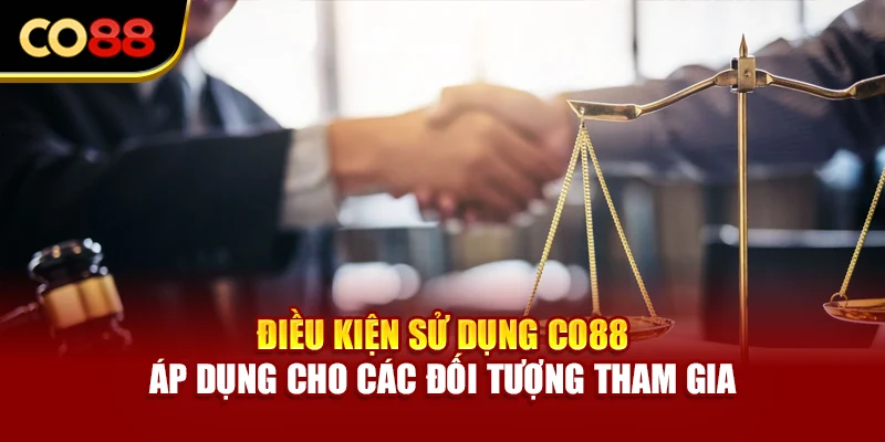 Điều kiện sử dụng Co88 áp dụng cho các đối tượng tham gia