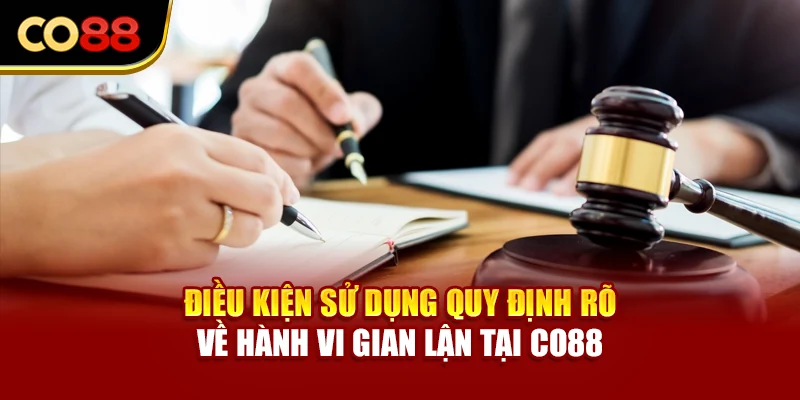 Điều kiện sử dụng quy định rõ về hành vi gian lận tại Co88
