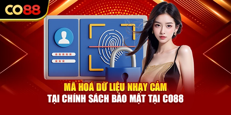 Mã hoá dữ liệu nhạy cảm tại chính sách bảo mật tại Co88