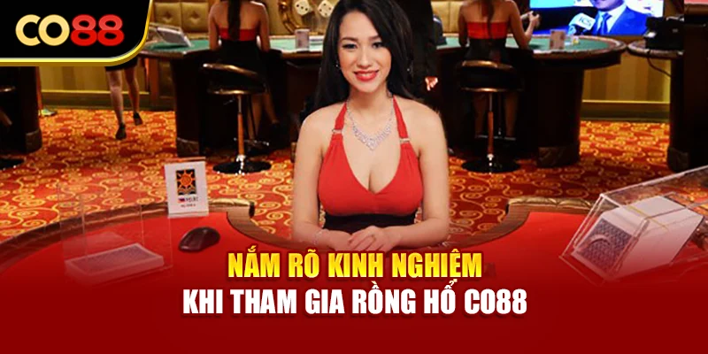 Nắm rõ kinh nghiệm khi tham gia Rồng Hổ Co88