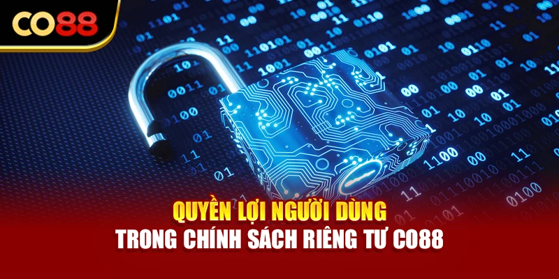 Quyền lợi người dùng trong chính sách riêng tư Co88
