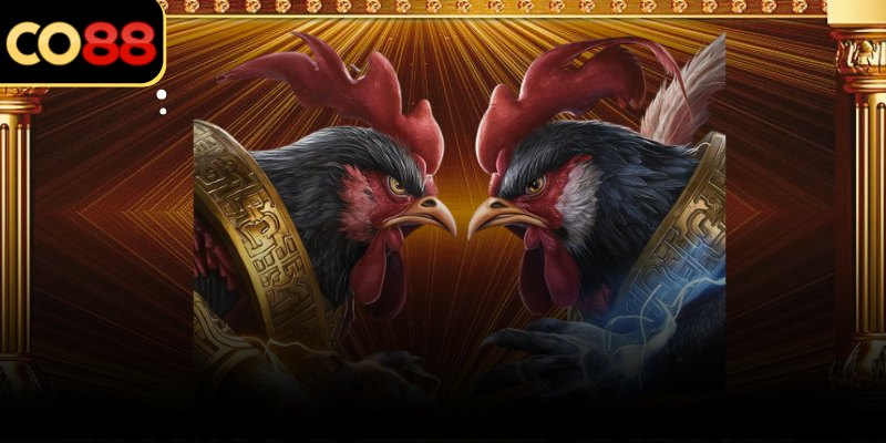 Đồng hồ đếm ngược rõ ràng trước mỗi ván Thomo