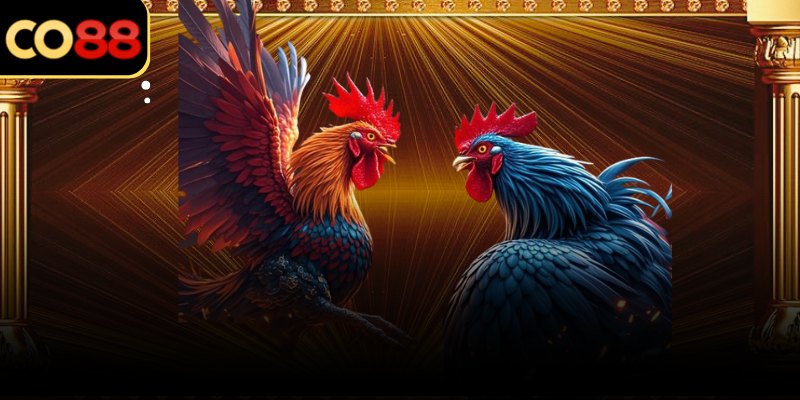 Khoảng đệm trước trận giúp người xem chủ động theo dõi diễn biến