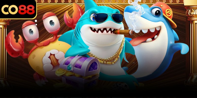 Không gian biển rộng với nhiều tầng cá di chuyển song song