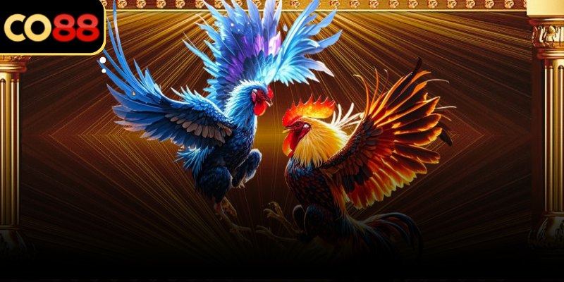 Luồng trận tập trung giúp người xem không bị phân tán